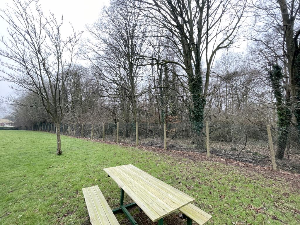 Lot: 44 - WOODLAND EXTENDING TO OVER THREE ACRES - Outside image of land boundary from picnic area